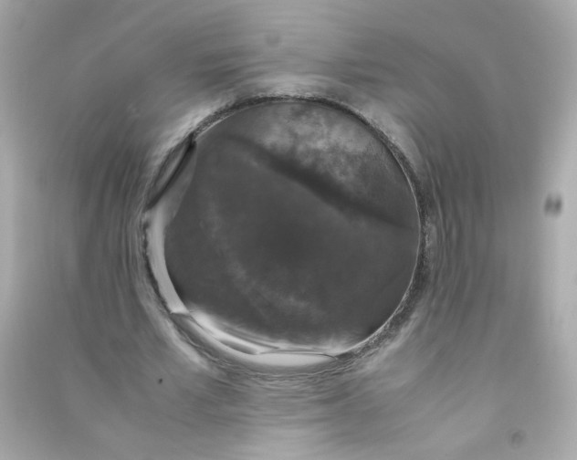 X0000090470581200708102135