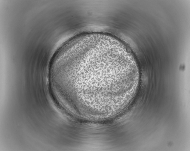 X0000090470582200708102135