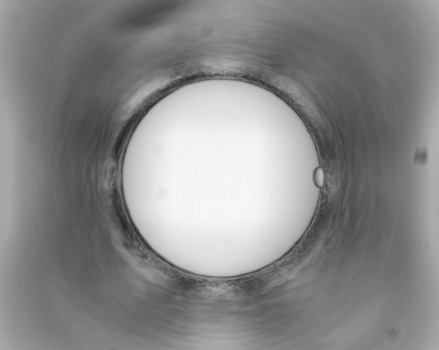 X0000090470583200708102135