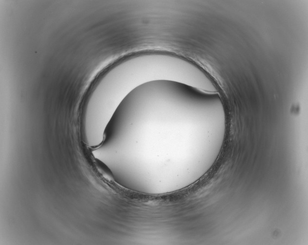 X0000090470584200708102135