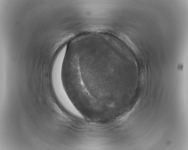 X0000090470585200708102135