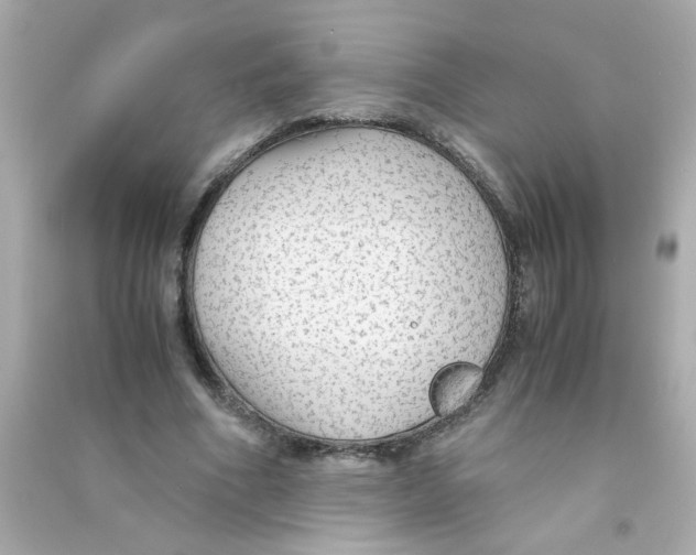 X0000090470586200708102135