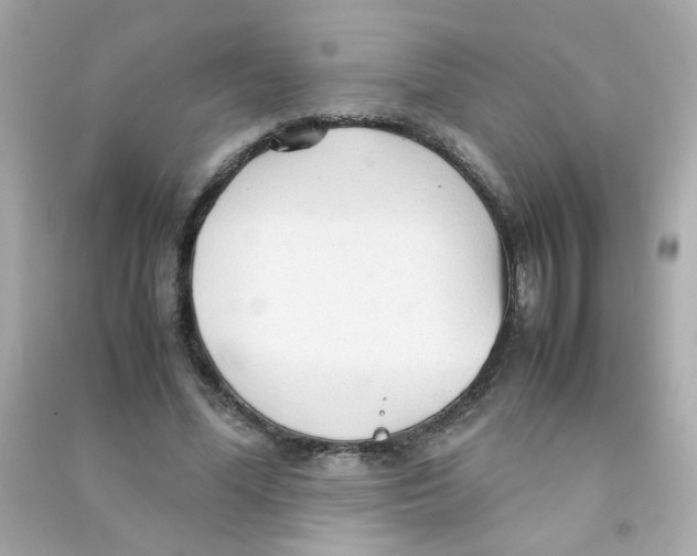 X0000090470588200708102135