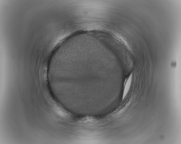 X0000090470589200708102135