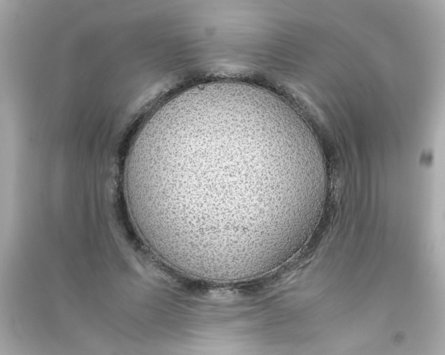 X0000090470591200708102135