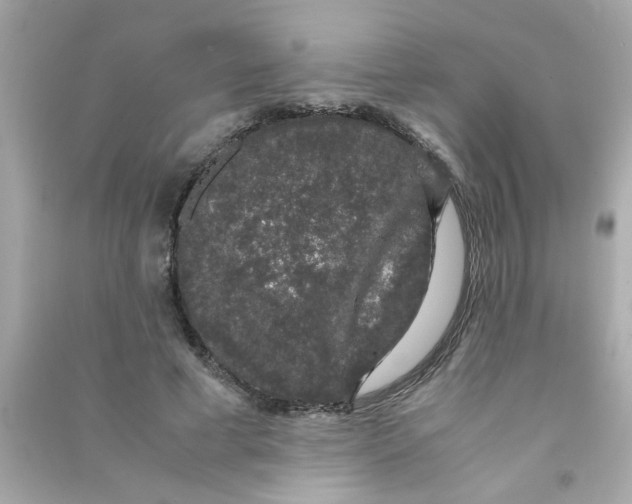 X0000090470593200708102135