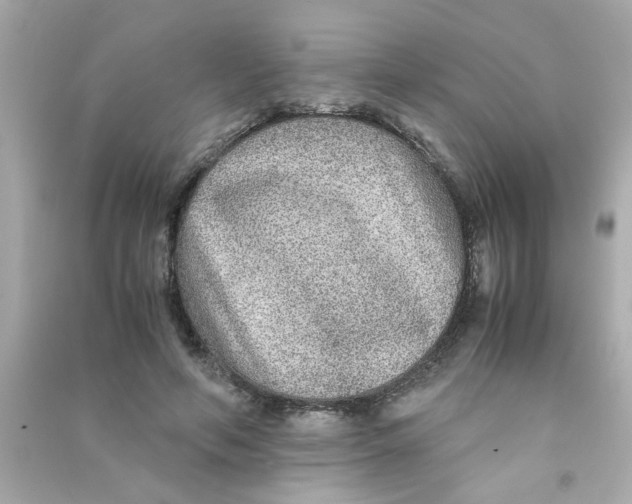 X0000090470594200708102135