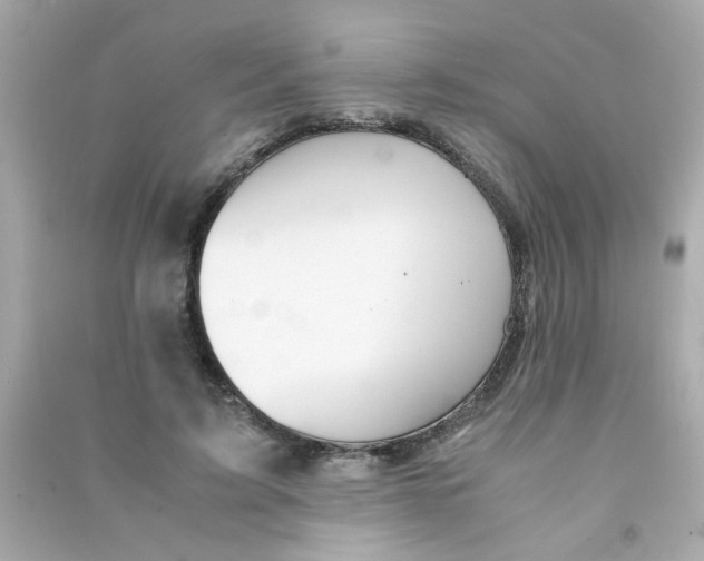 X0000090470595200708102135