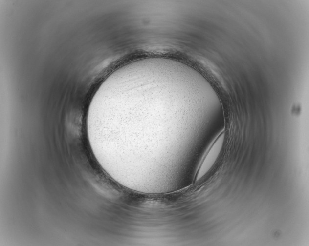 X0000090470596200708102135