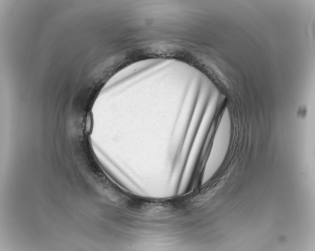 X0000090470597200708102135