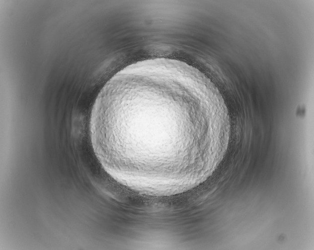 X0000090470598200708102135