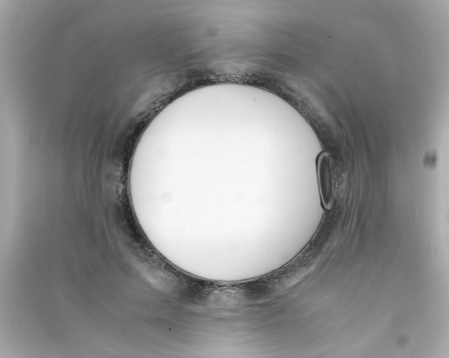 X0000090470599200708102135