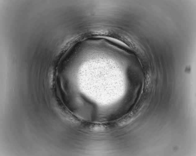 X0000090470600200708102135