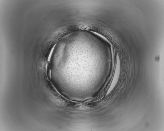 X0000090470601200708102135