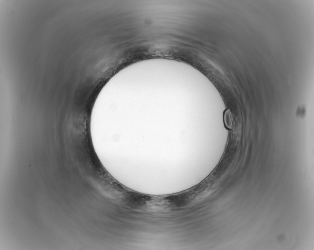 X0000090470603200708102135