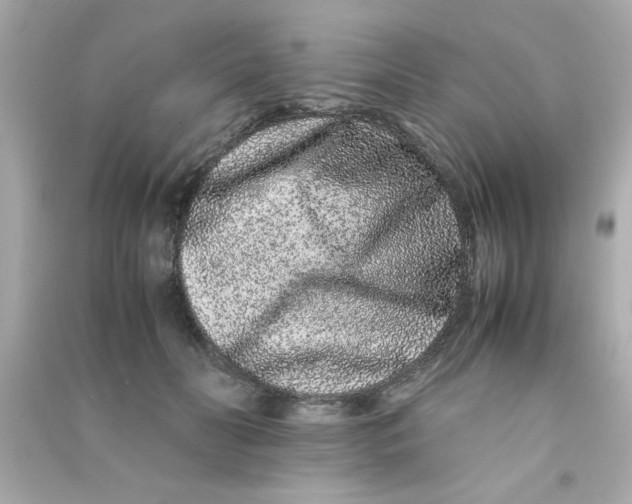 X0000090470606200708102135