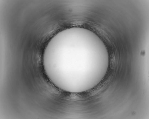 X0000090470608200708102135