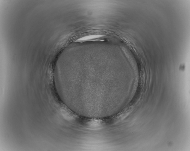 X0000090470609200708102135