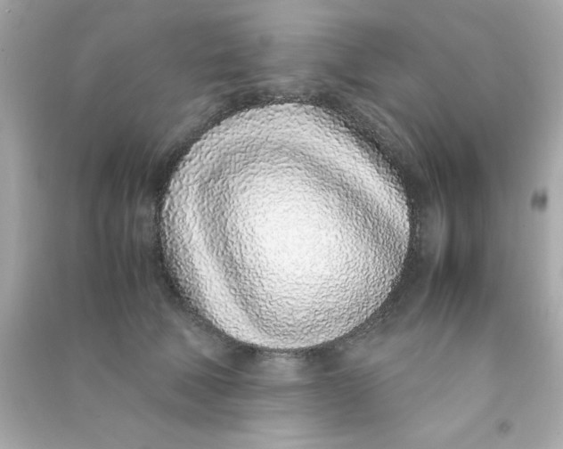 X0000090470610200708102135