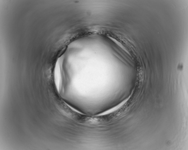 X0000090470611200708102135