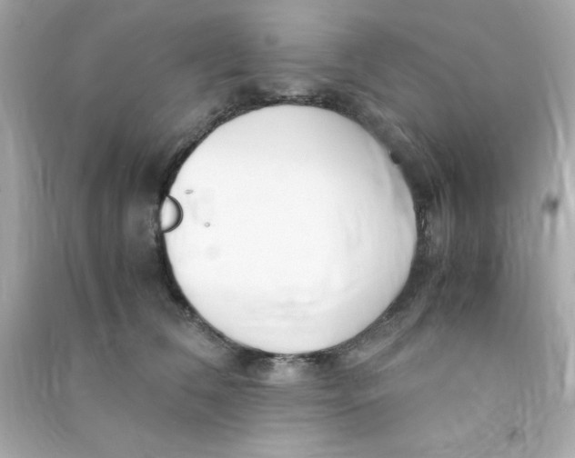 X0000090470612200708102135