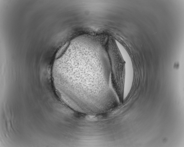 X0000090470613200708102135