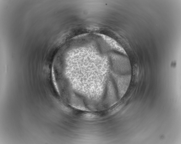 X0000090470614200708102135