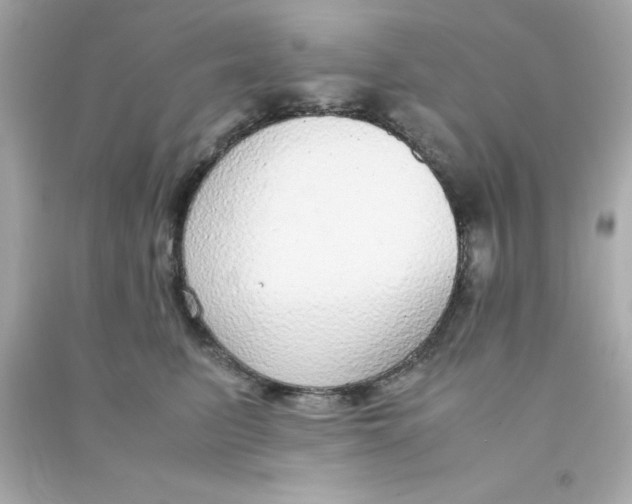 X0000090470615200708102135