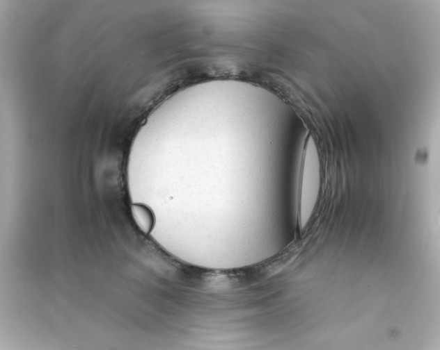 X0000090470616200708102135