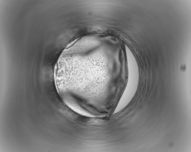 X0000090470617200708102135