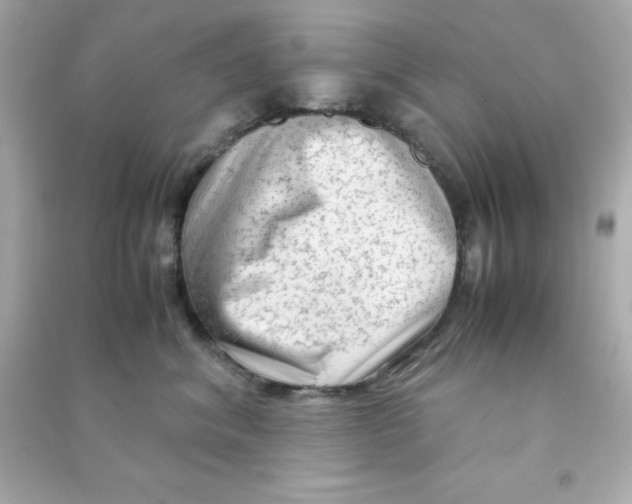 X0000090470620200708102135