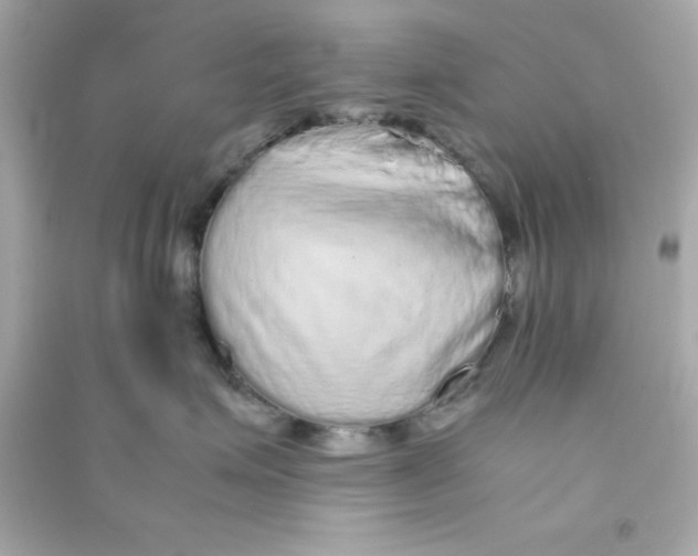 X0000090470623200708102135