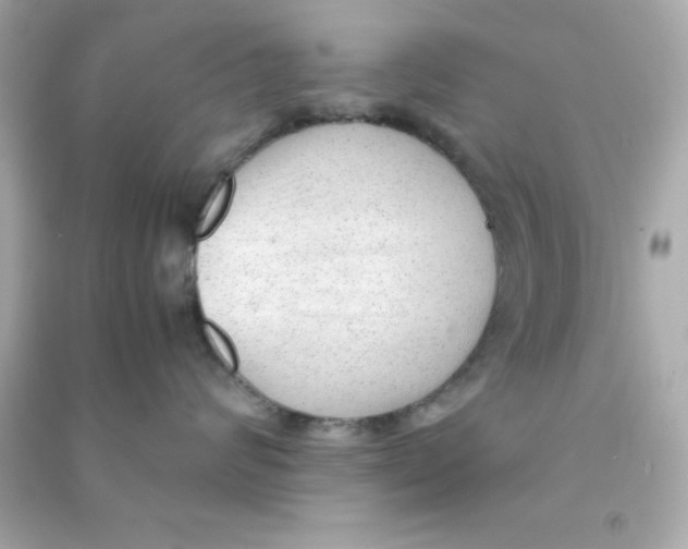 X0000090470624200708102135