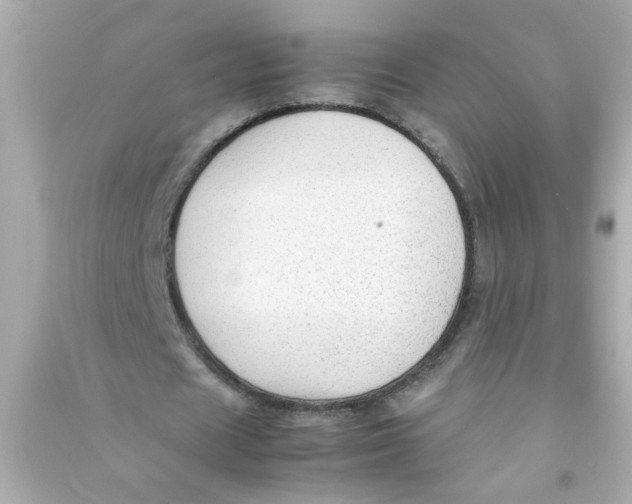 X0000090470625200708102134