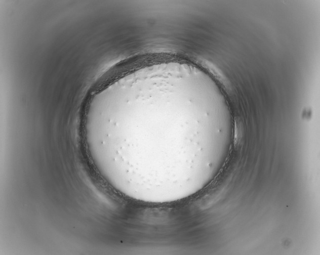 X0000090470627200708102134