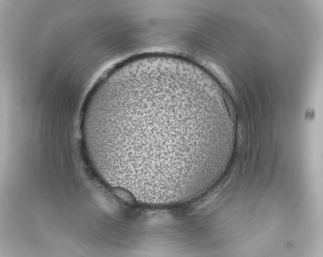 X0000090470628200708102134