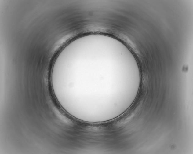 X0000090470629200708102134