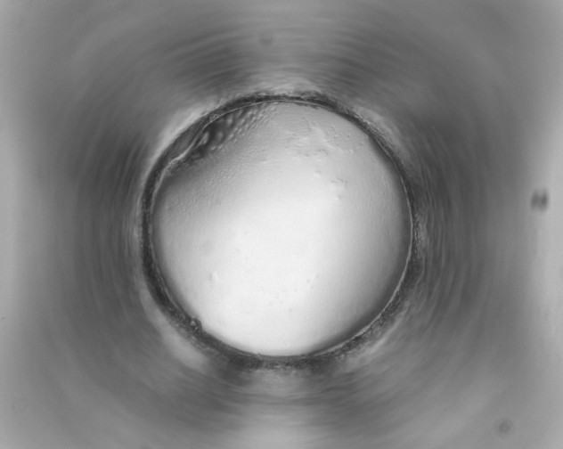 X0000090470630200708102134