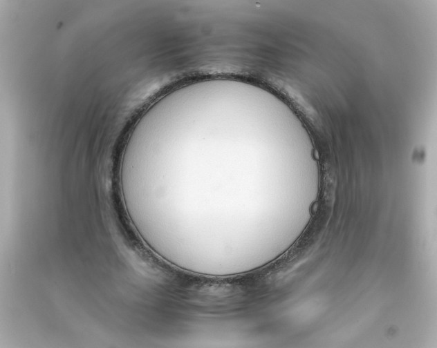 X0000090470631200708102134