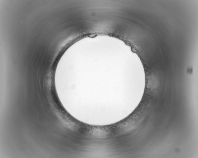 X0000090470632200708102134