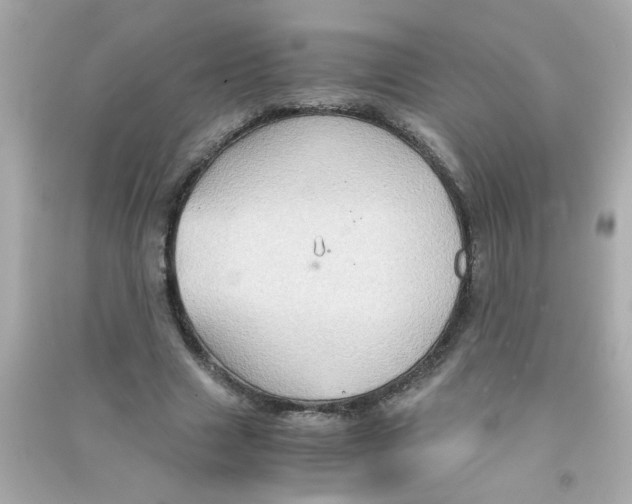 X0000090470633200708102134