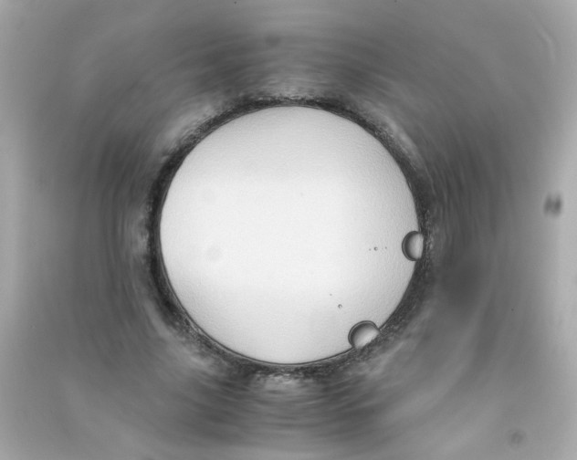 X0000090470635200708102134