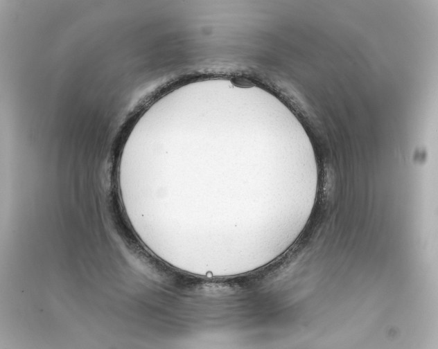 X0000090470636200708102134