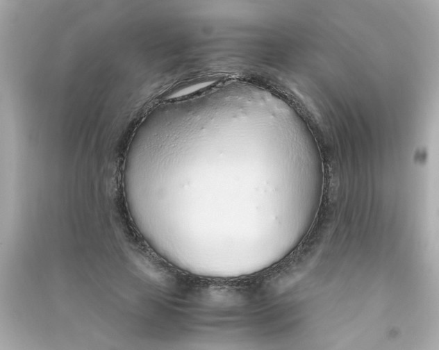 X0000090470641200708102134