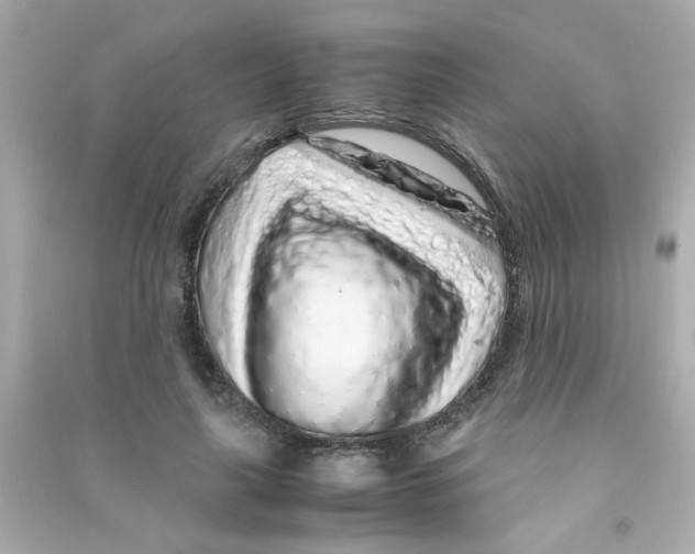 X0000090470643200708102134