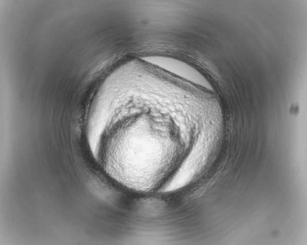 X0000090470644200708102134