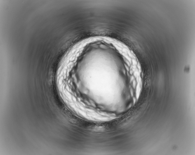 X0000090470647200708102134