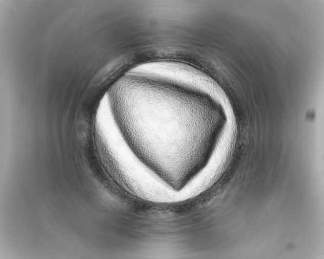 X0000090470648200708102134