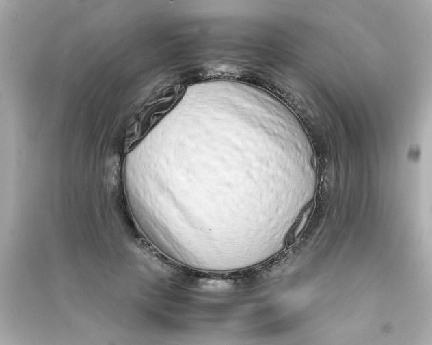 X0000090470649200708102134