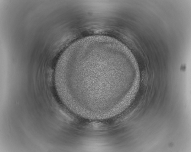 X0000090470650200708102134